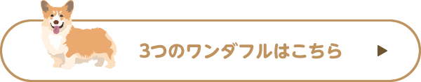 3つのワンダフル