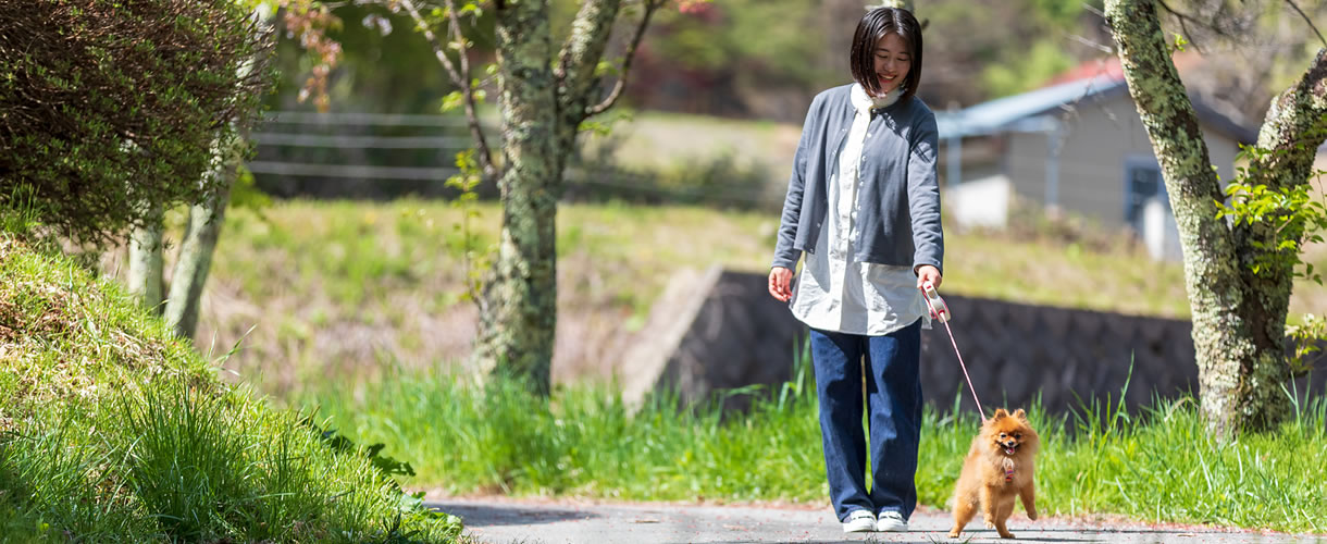 飛騨高山へわんちゃんと観光されたい方